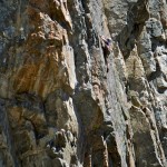 Monkey Flower - Rock Springs Buttress